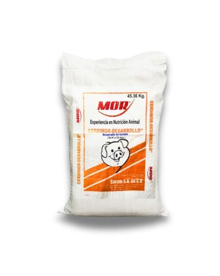 Cerdimor Desarrollo Pl Bl